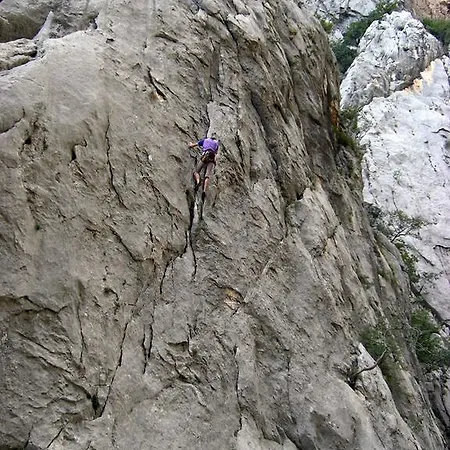 Amigo Apartment Seline