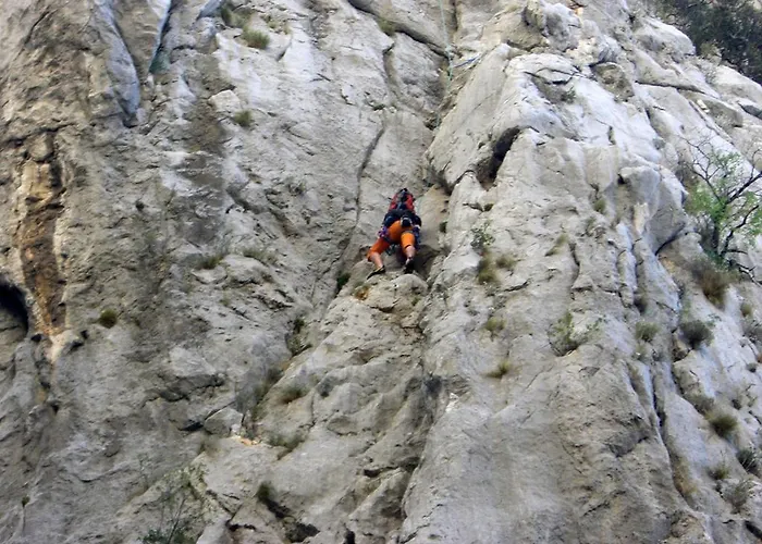 Amigo 公寓 塞利讷