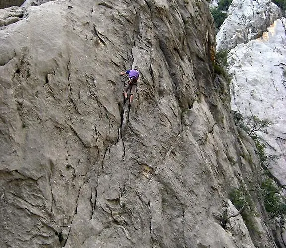 Amigo 公寓 塞利讷